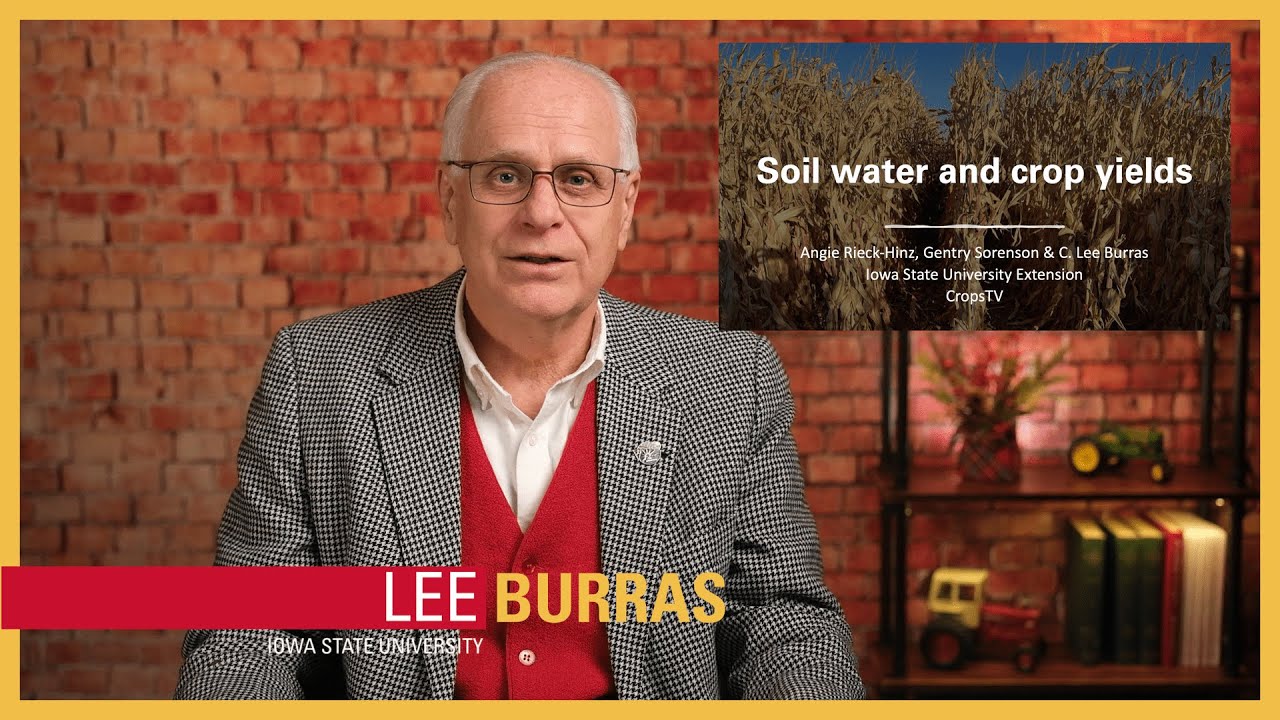Understanding soil moisture