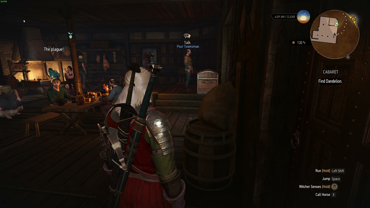 Witcher 3 the Plague