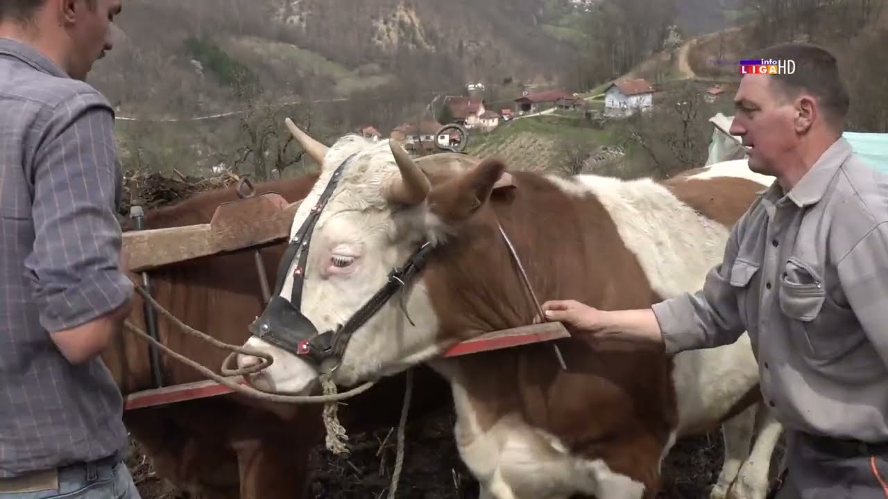 Deda Roćko ljubav prema rodnoj zemlji i ognjištu preneo na unuke