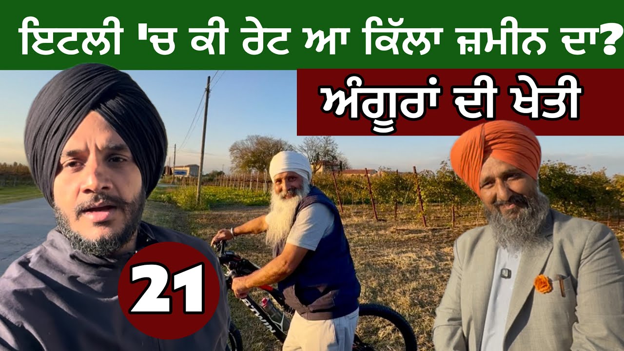 ਇਟਲੀ ‘ਚ ਜ਼ਮੀਨ ਦਾ ਰੇਟ? ਅੰਗੂਰਾਂ ਦੀ ਖੇਤੀ। Punjabi in Italy। 
