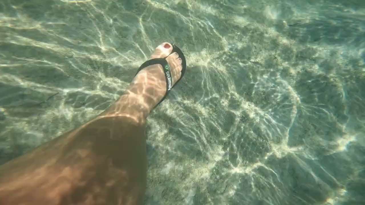 ELPHISTONE RESORT | MARSA ALAM | EGYPT 2022 | EDEN VIAGGI