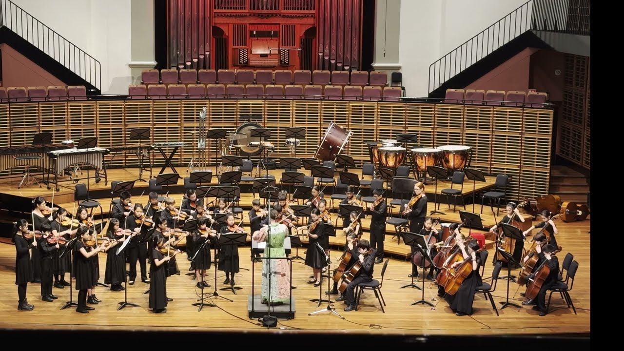 The Journey Forward -- Sydney Youth Orchestra Year End Presentation