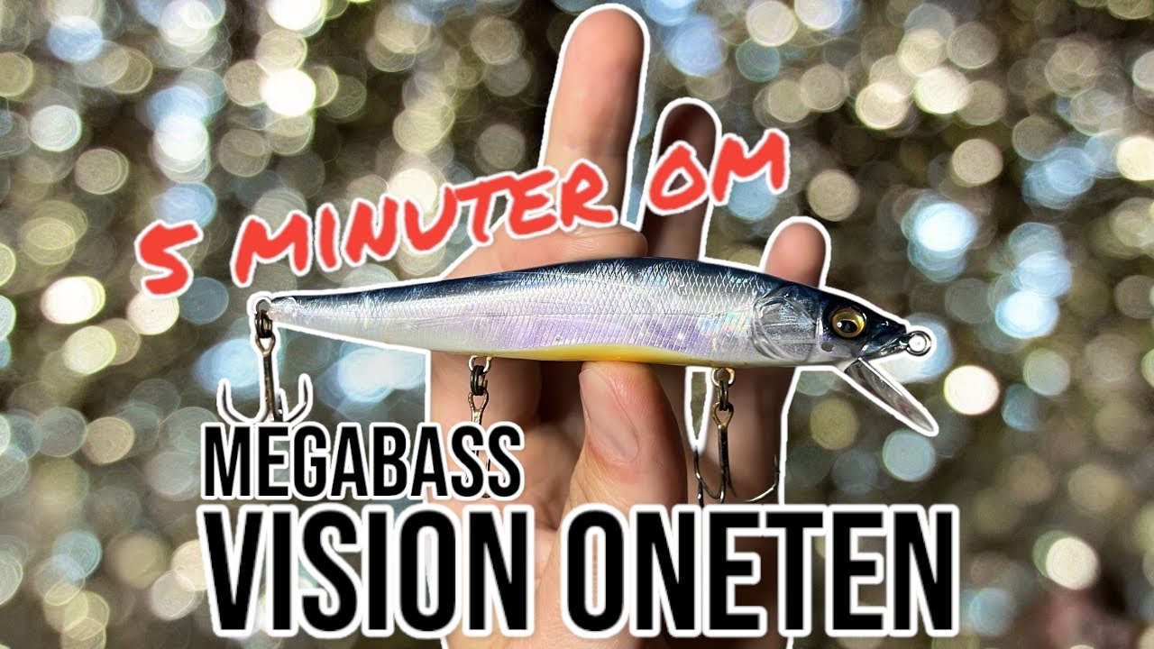 5 minuters RECENSION: MEGABASS VISION ONETEN