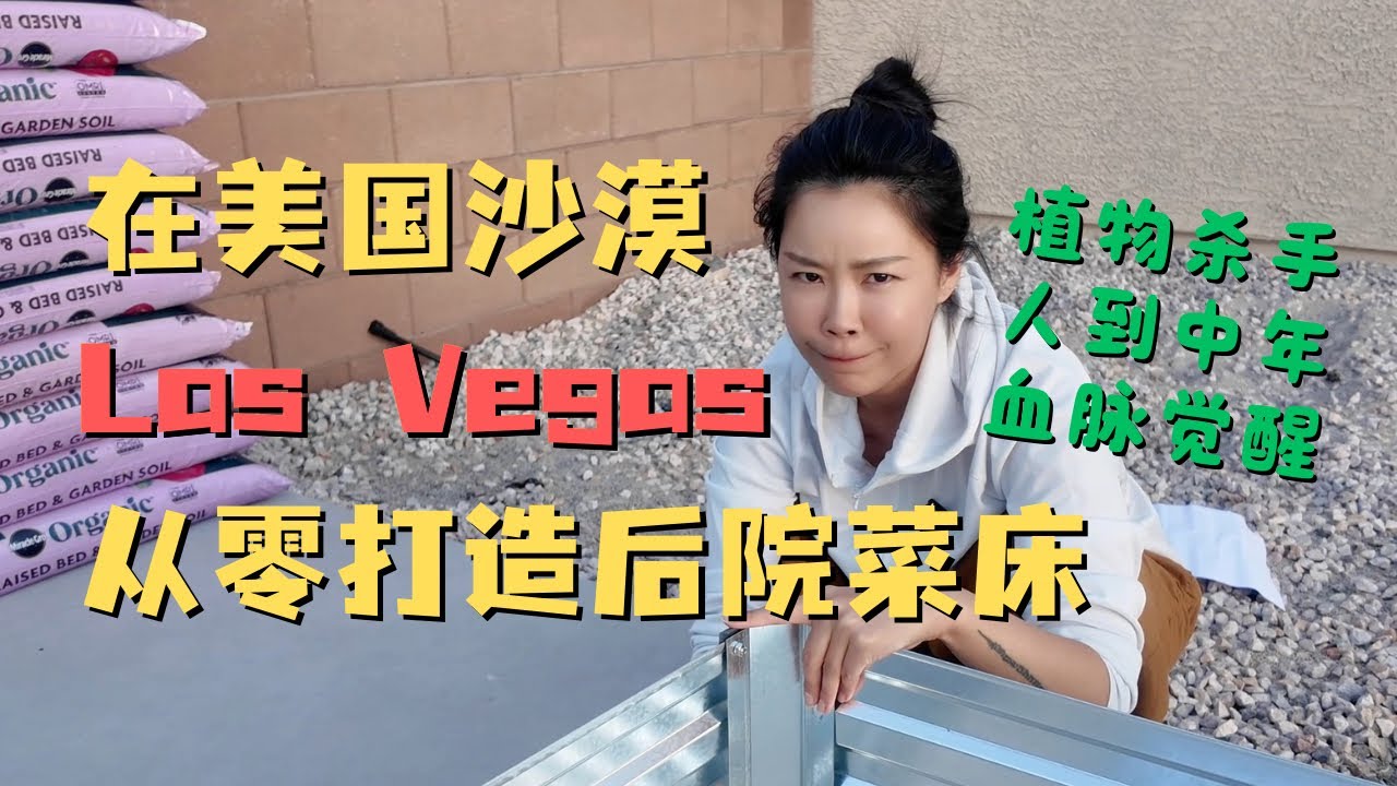 🔥 沙漠种菜？🌵在美国拉斯维加斯45°C高温下挑战从零打造后院菜床🥬！人到中年 血脉觉醒 迎难而上😂