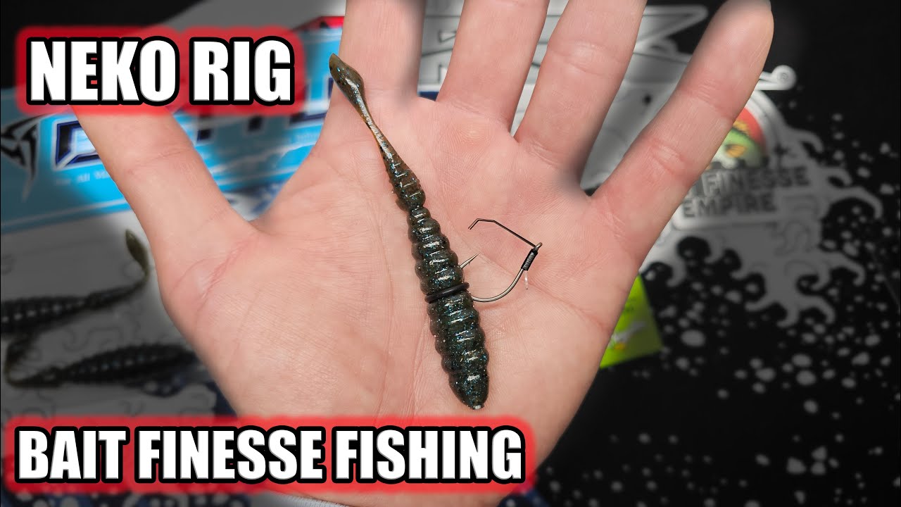 Neko Rigging the DStyle D1 for BFS Fishing