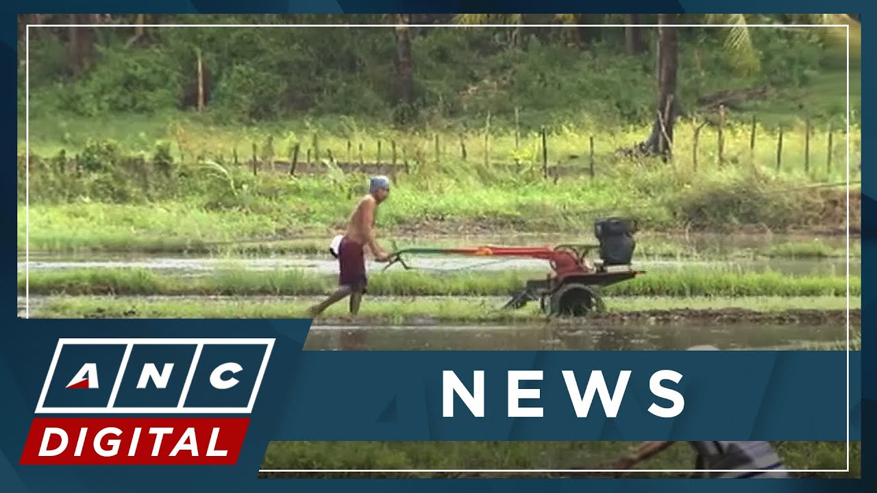 Agri damage due to 'Paeng' at P1.3-B | ANC