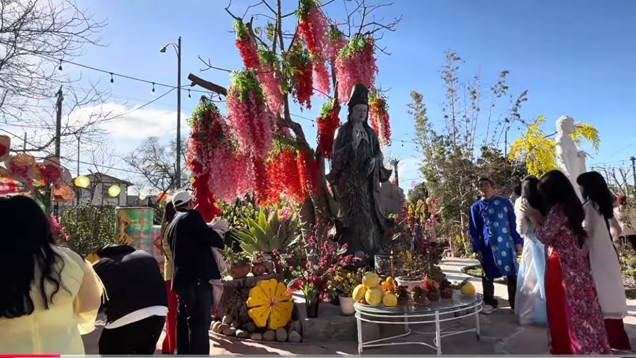 Một Chút Lắng Lại Giữa Nhịp Sống Bận Rộn Để Lòng Nhẹ Hơn và Xuân Sâu Hơn 🙏🌸