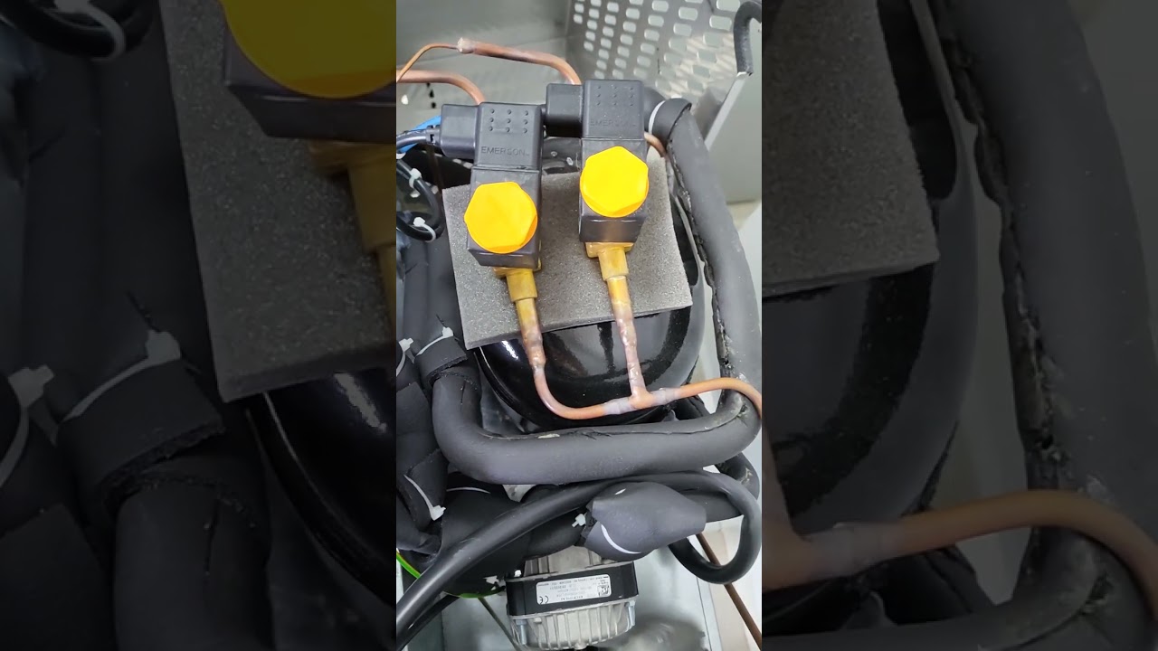 Growth chamber 5, switch or relay On/Off sound? And compressor clog/popping abnormal sound?