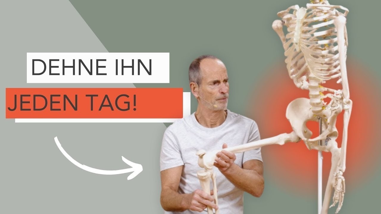 DIESER Muskel ist SO wichtig – dehne ihn jeden Tag!