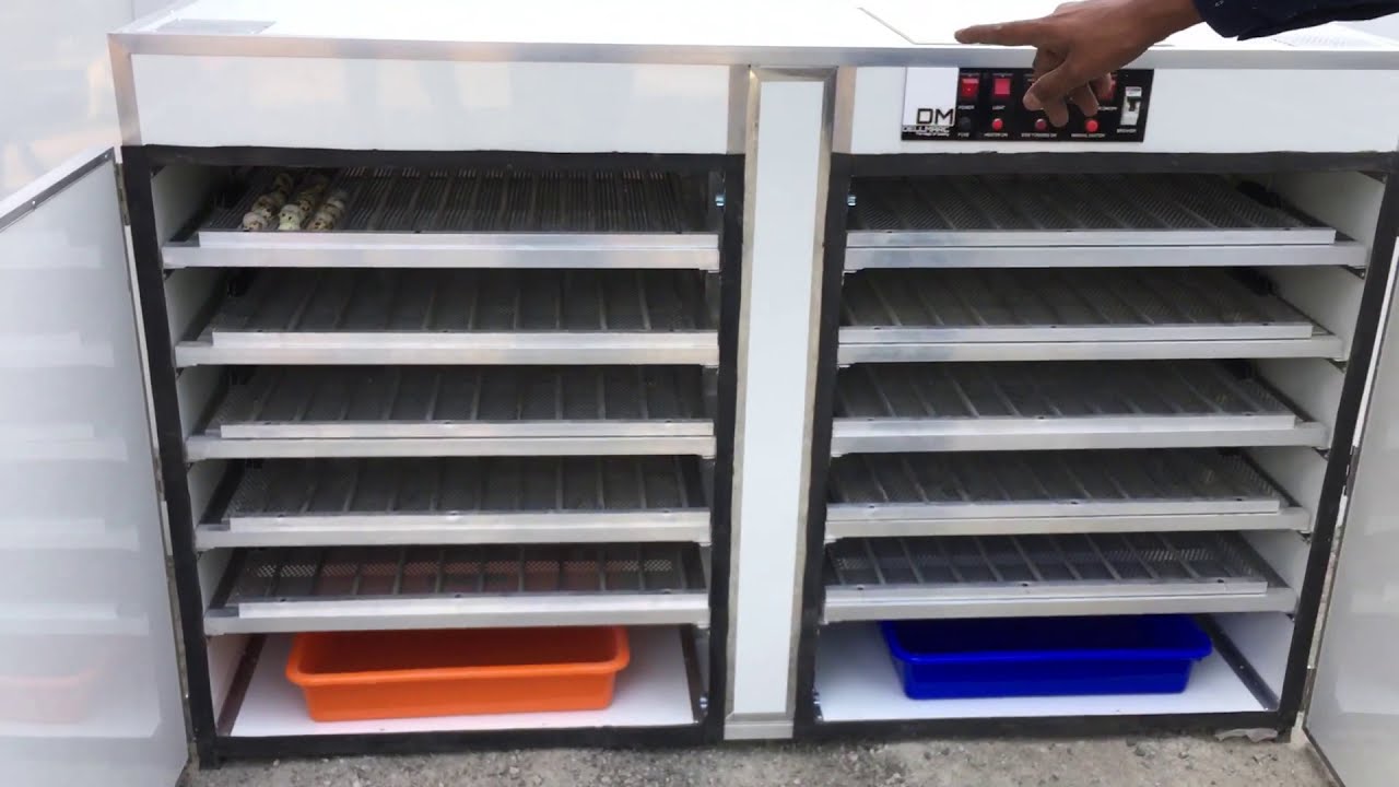 1000 Egg incubator_1000 Chicken egg/ 2400 Quail Egg Dellmarc Incubator