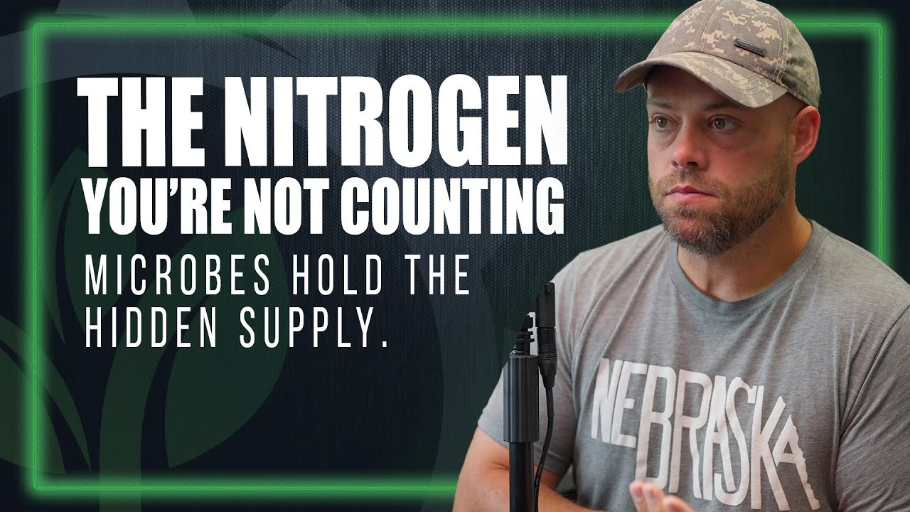 Understanding Nitrogen Mineralization and Protein in Your Soil