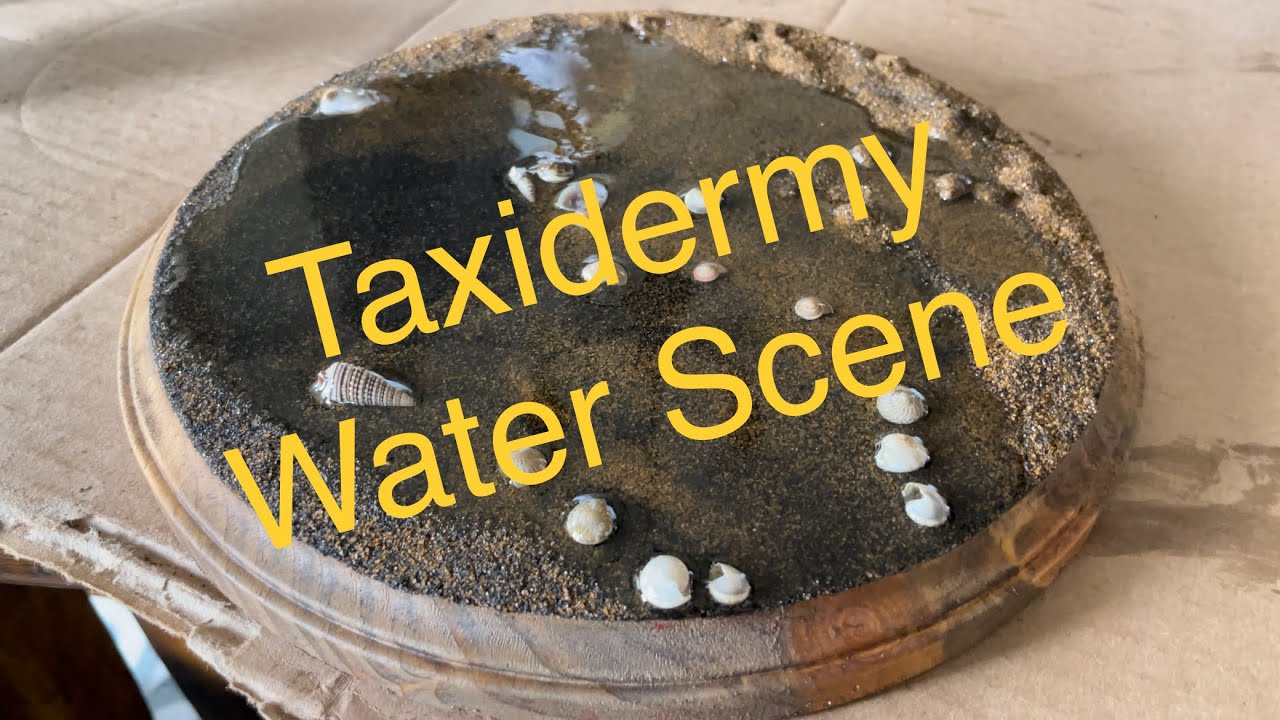 How To Taxidermy & How To Make A Water Scene!