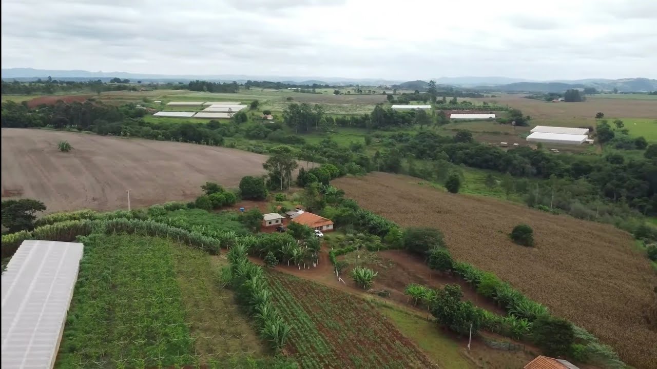 ®CHÁCARA TERRA ROXA 2 CASAS RICA EM ÁGUA COM MUITAS FRUTAS- RECORDAÇÕES SERGIO HENRIQUE