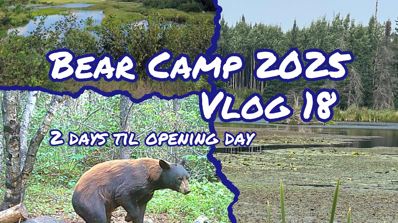 Bear Camp 2025 Vlog 18