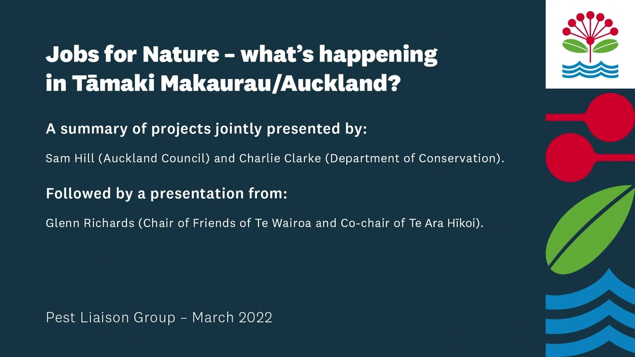 Jobs for nature in Tāmaki Makaurau – progress with pest control & restoration | predator free 2050