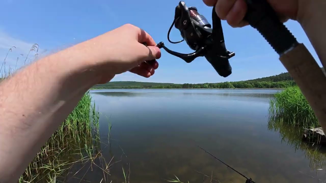 Tego się nie spodziewałem – Leszcze, Karpie i... coś jeszcze! Co tu się działo! #fishing #carp