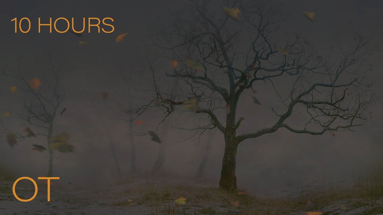 A Windy Night in the Cold | Blowing Leaves & Atmospheric Ambience | Relax | Study | Sleep | 10 HOURS