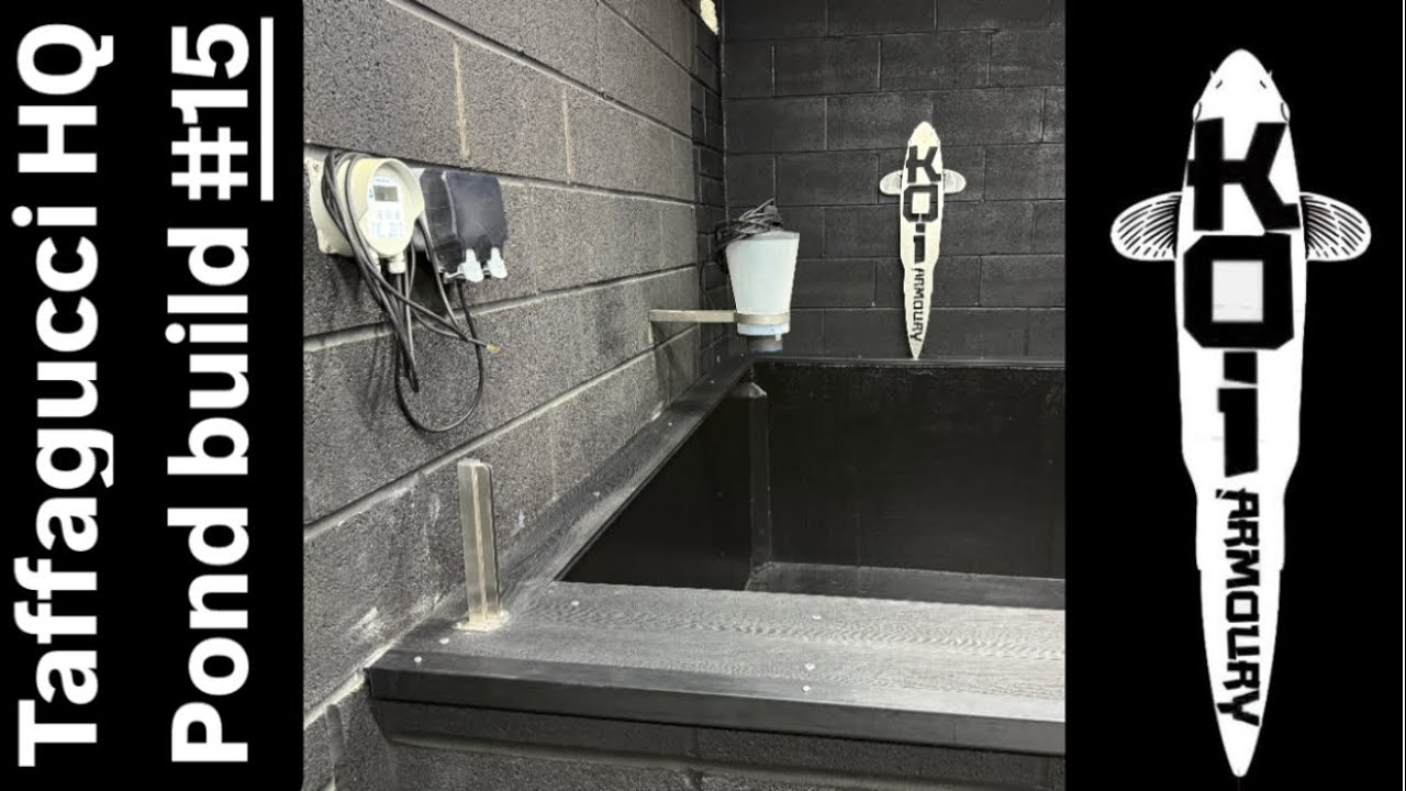 Taffagucci HQ pond build part 15