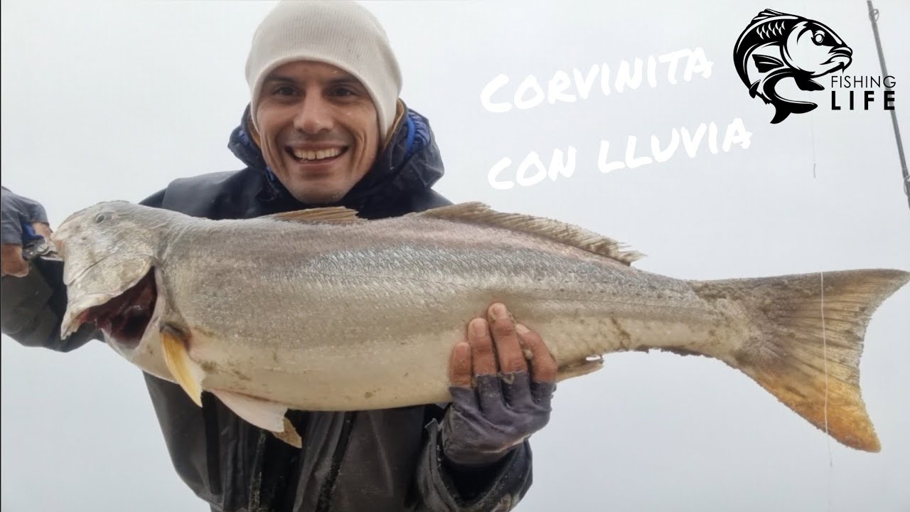 Pesca de Corvina con lluvia  playa chilena el tabo señuelo sugoi
