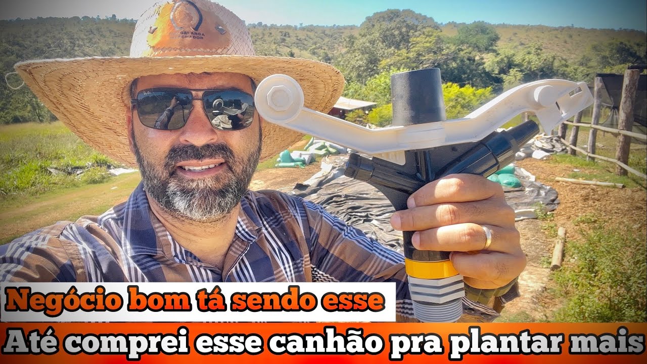 MINHA SILAGEM NÃO DEU NEM PRO COMEÇO | NEGÓCIO BOM PRA ESSE ANO É PRODUZIR COMIDA