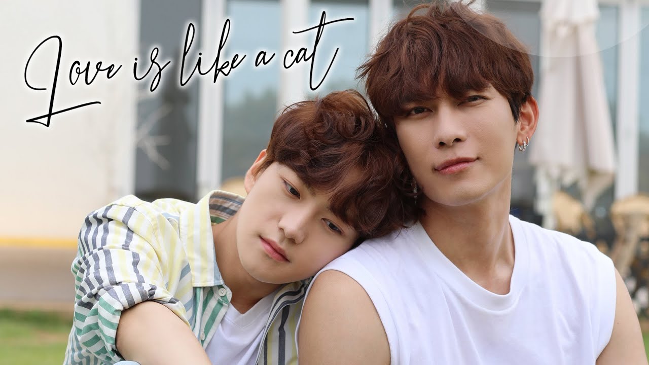 韓国BLドラマ「Love is like a cat」予告編（日本語字幕）