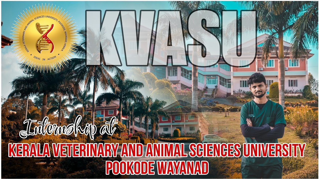 Kerala Veterinary College Wayanad | A Day in Veterinary Internship | CVAS Pookode | Krish Vet corner