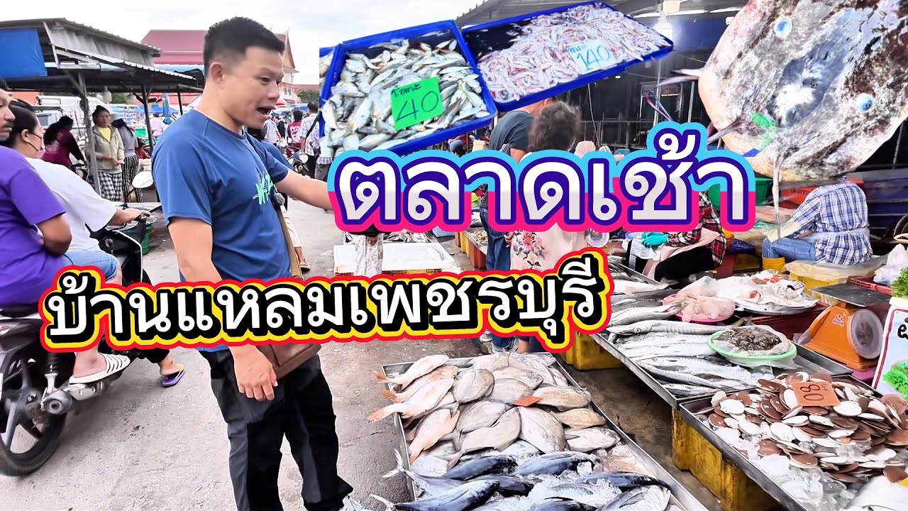 ตลาดเช้าบ้านแหลมจังหวัดเพชรบุรี ￼ ซื้ออาหารซีฟู้ดกลับบ้านเชียงราย
