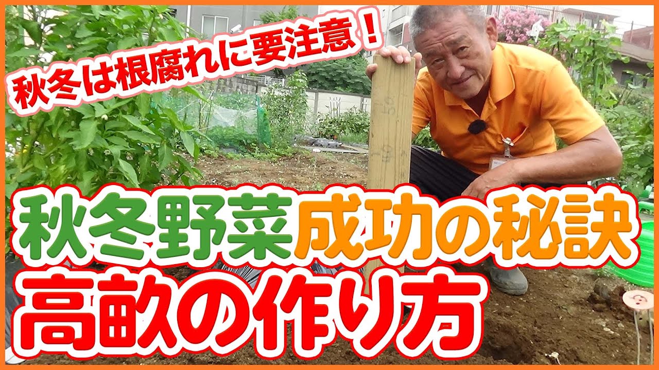 家庭菜園や農園の秋冬野菜栽培で根腐れ予防する高畝の作り方！大根や白菜栽培をされる方は必見！/Tips on how to make high ridges from a Japanese farmer