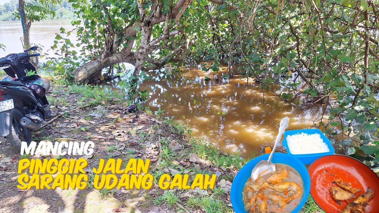 mancing udang galah di lanting pinggiran sungai sambil masak saos makan di lanting