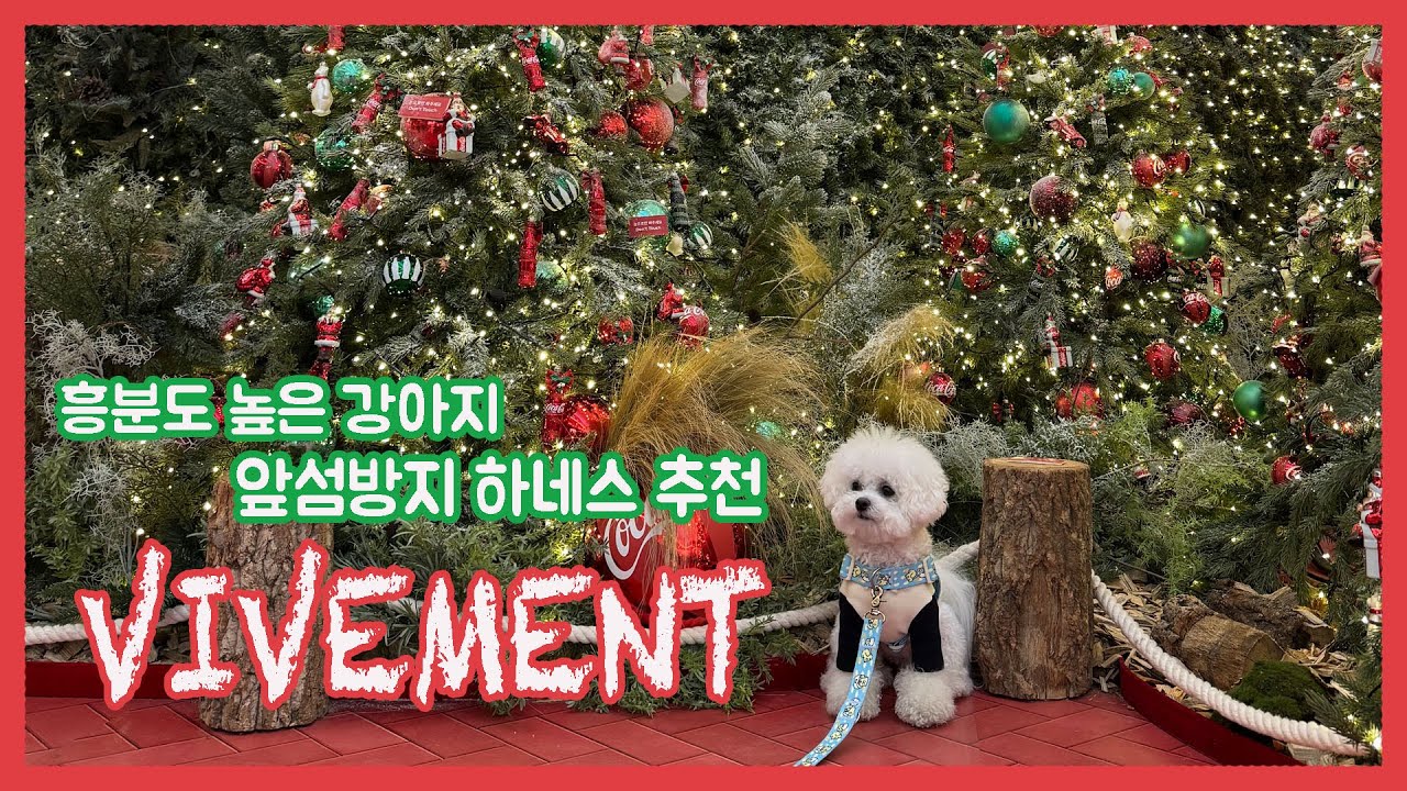 [내이름은딱지] 흥분도 높은 강아지 앞섬방지하네스 추천ㅣ비브멍ㅣ강아지하네스