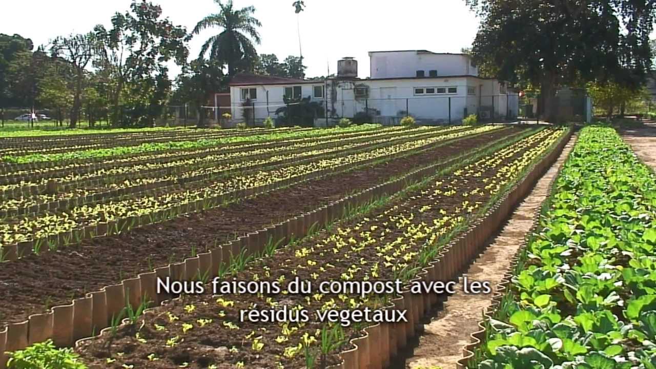 Révolution verte urbaine 1/3