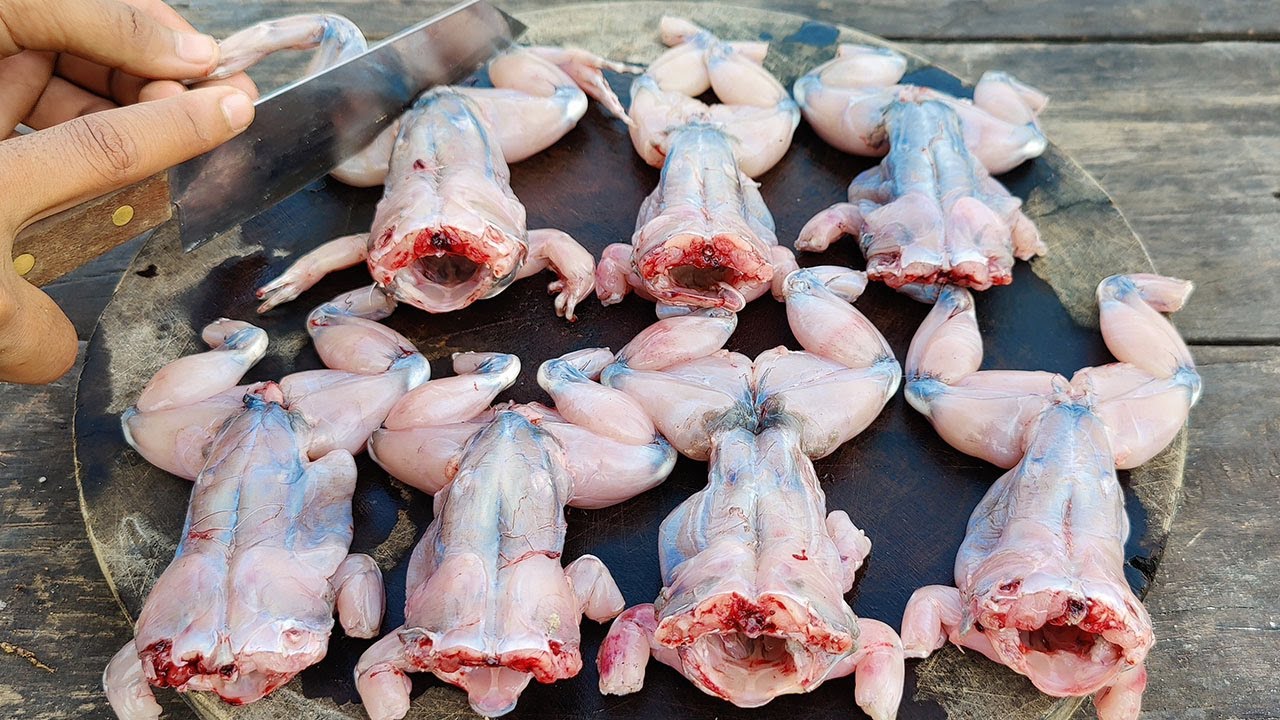 Quick & delicious fried frog recipe / Tasty deep fried frog