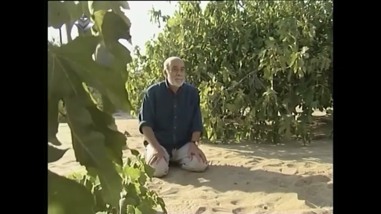 Rasim Babayev | 