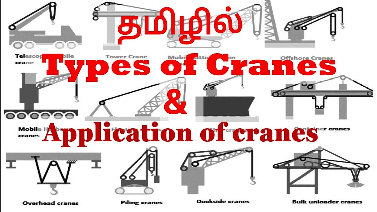 Exploring the Different Types of cranes: Uses and Application in Tamil
