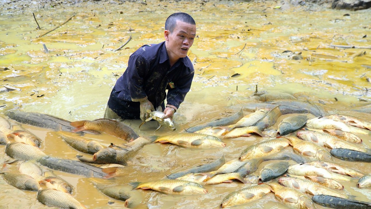 Dwarf Family Daily Life: Fishing, Cooking & Survival - How to Catch Fish in a Muddy Pond