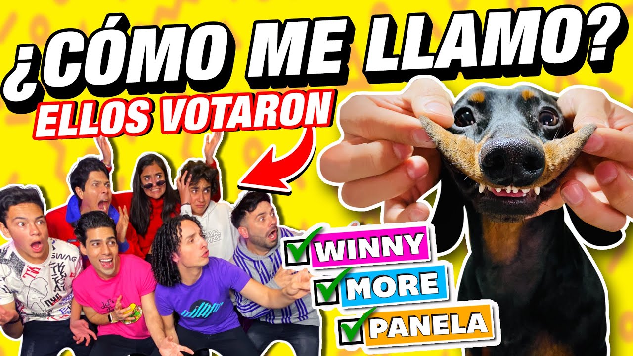 Por fin tengo NOMBRE - Mi Fiesta de Presentación 🐶