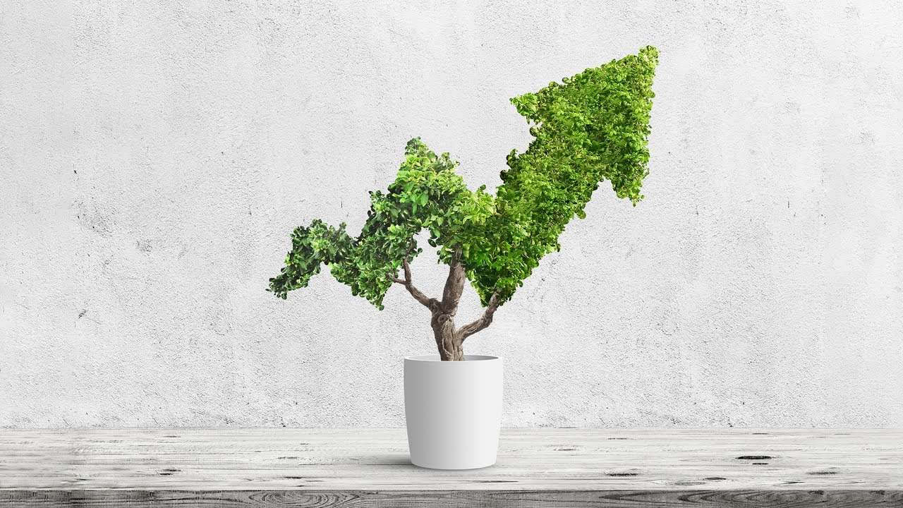 TDAM adds new mutual funds to its sustainability suite