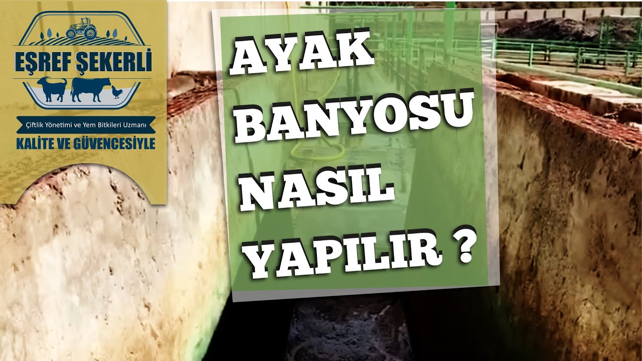Ayak Banyosu Nasıl Olmalı?