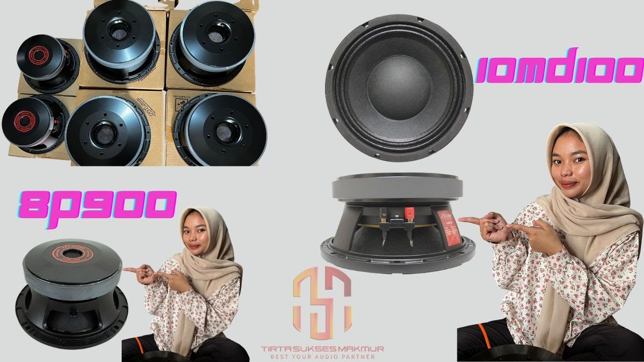 CEK SOUND SPEAKER SPL AUDIO 10MD100 8 INCH  8P900