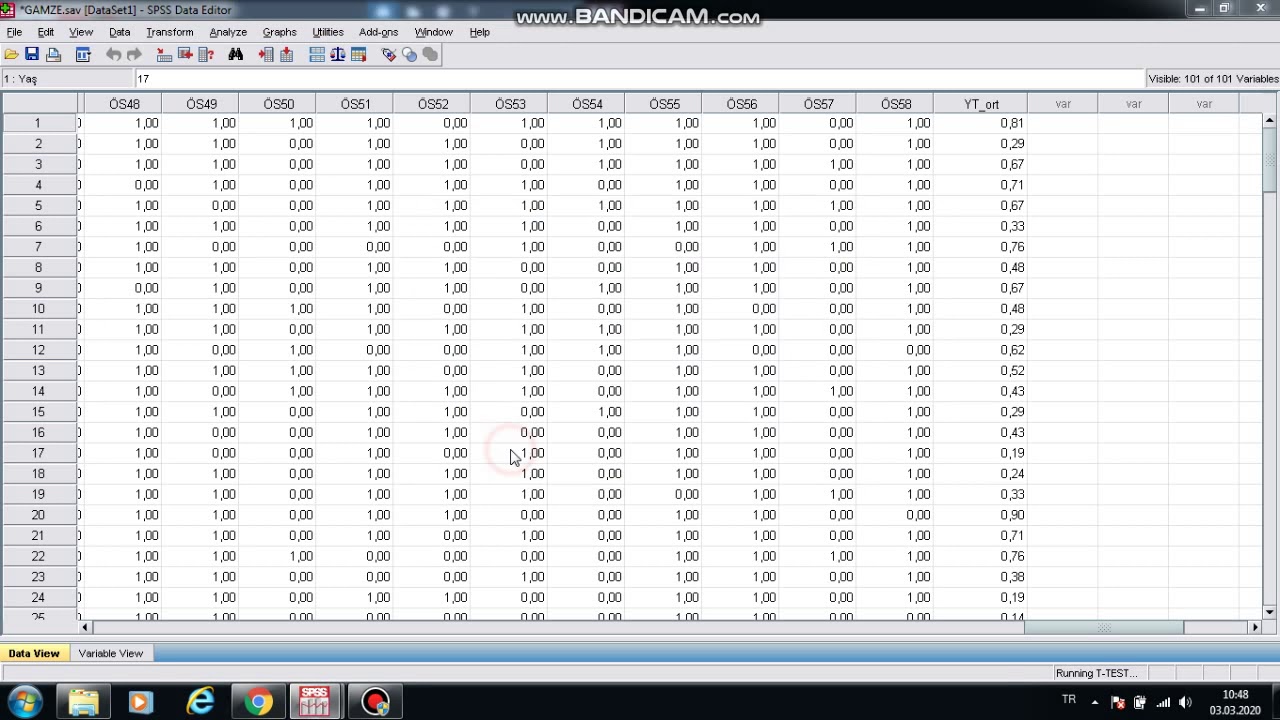 SPSS T Testi