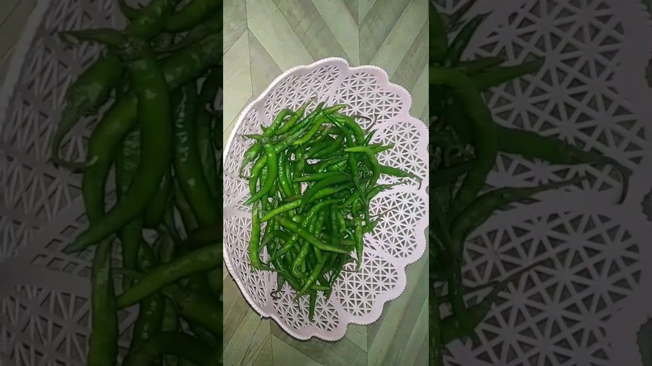 बहुत सरलता से हरी मिर्च का पाउडर बनाने का तरीका।How To Make Hari Mirch Ka Powder/Green Chilli Powder