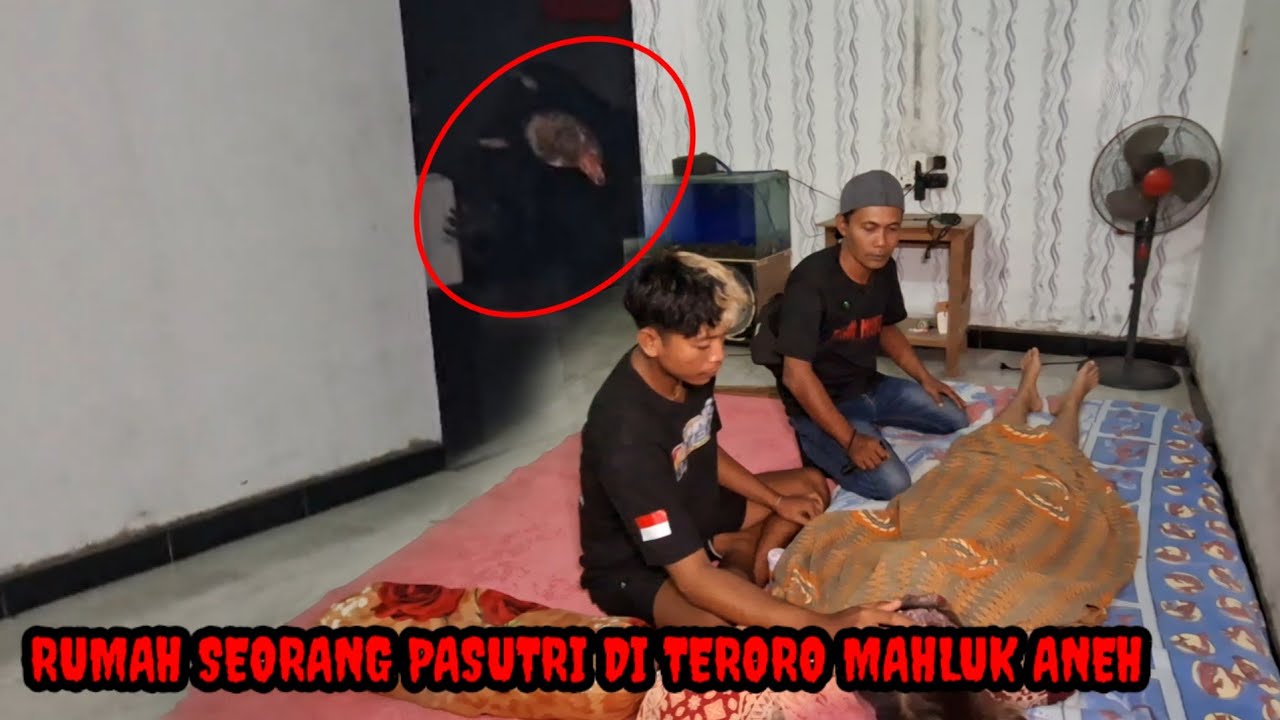 🔴 VIRAL⁉️RUMAH PASUTRI DI TEROR MAHLUK HALUS YG SANGAT SERAM😱