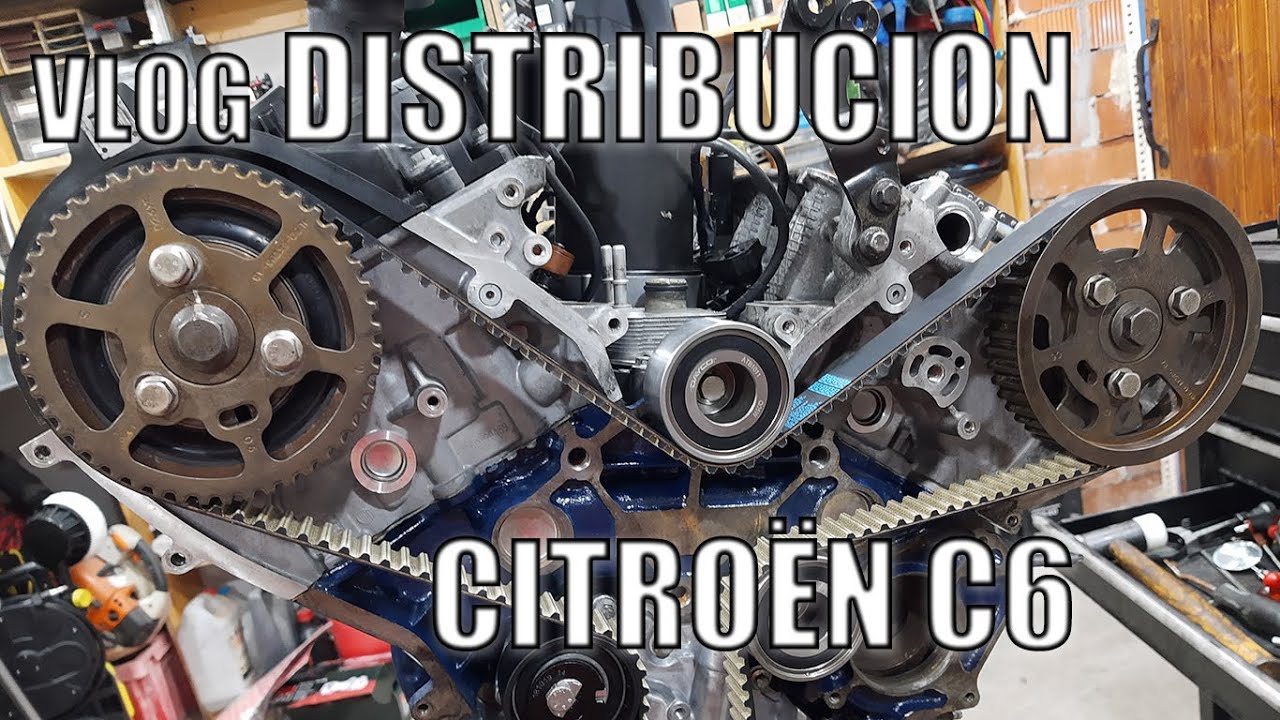 vlog Citroen C6 cambiar correa de distribucion 2 7 hdi uhz
