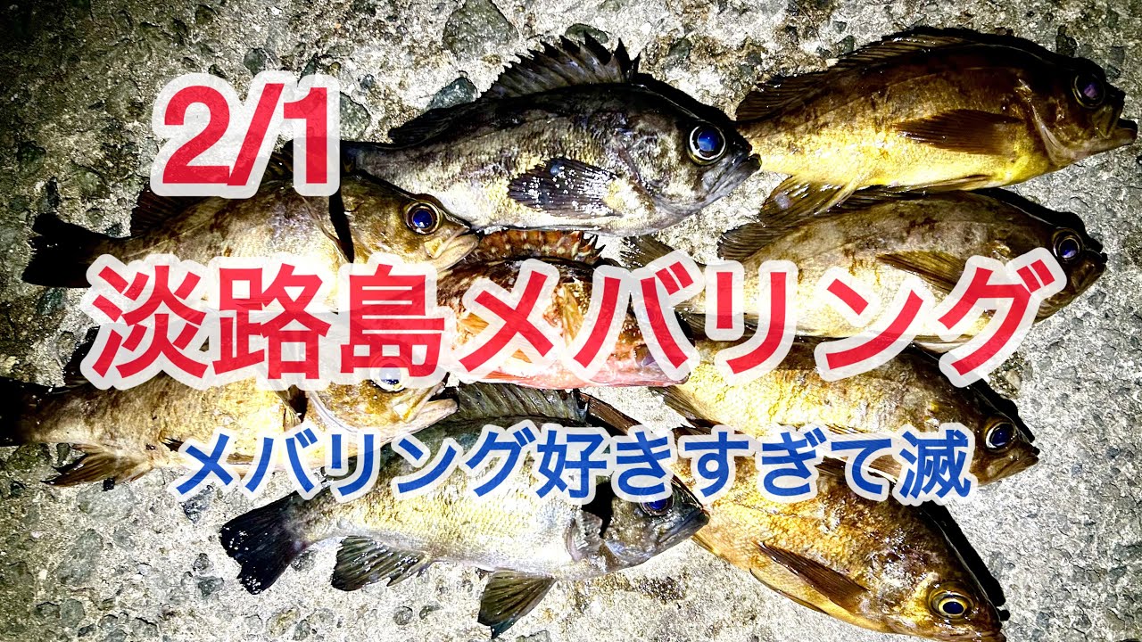 2/1淡路島メバリング