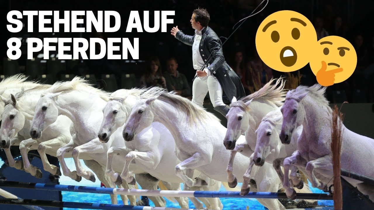 Stehend auf 8 galoppierenden Pferden 😱 | Das ist mutig! | Lorenzo zeigt wie es geht