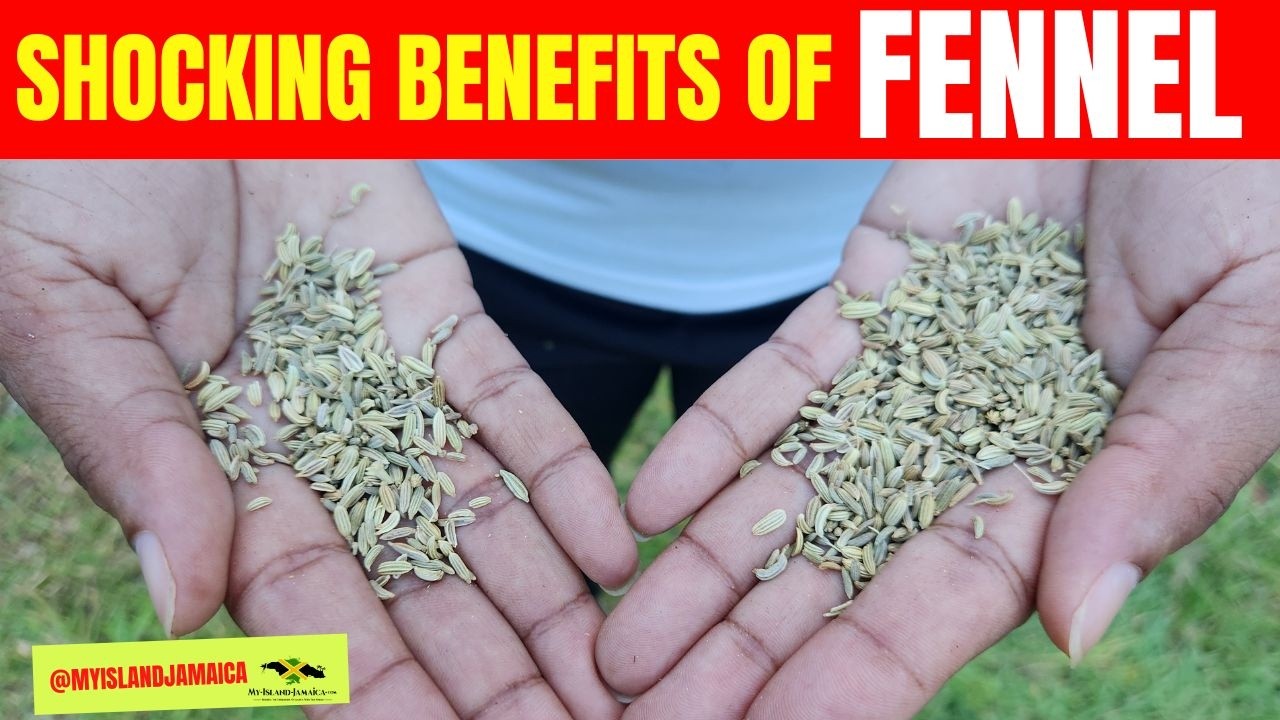 This herb will SURPRISE you! 😲 #fennel  🇯🇲