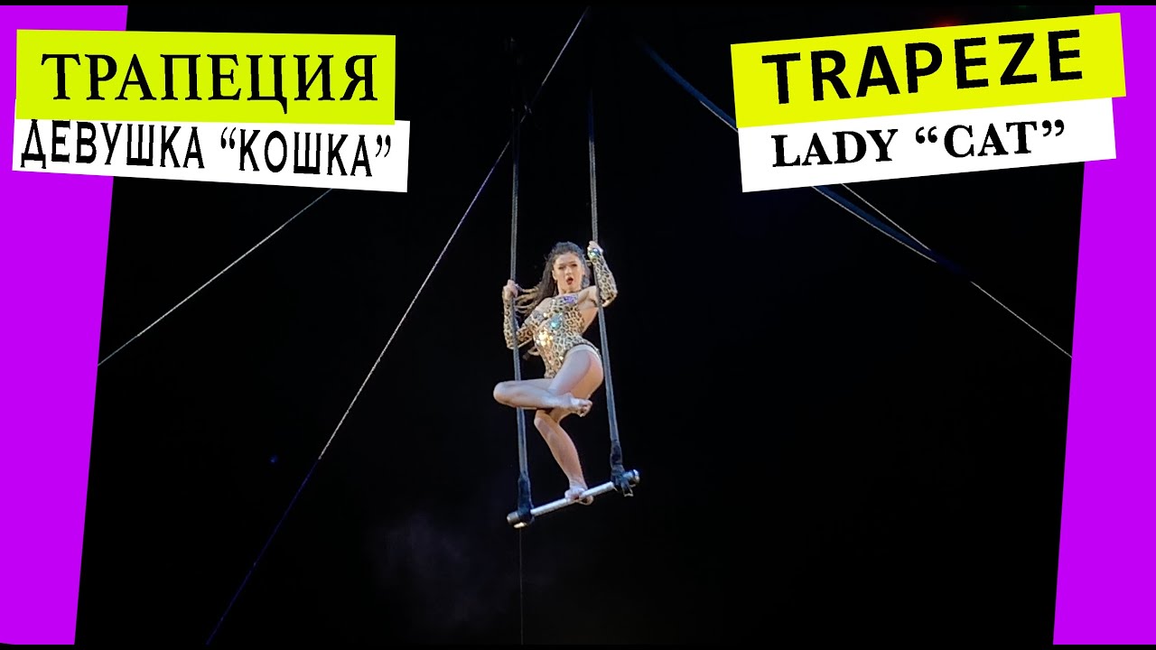 Trapeze lady cat. Трапеция девушка кошка. #Circus #Cirque #Цирк #Zirkus