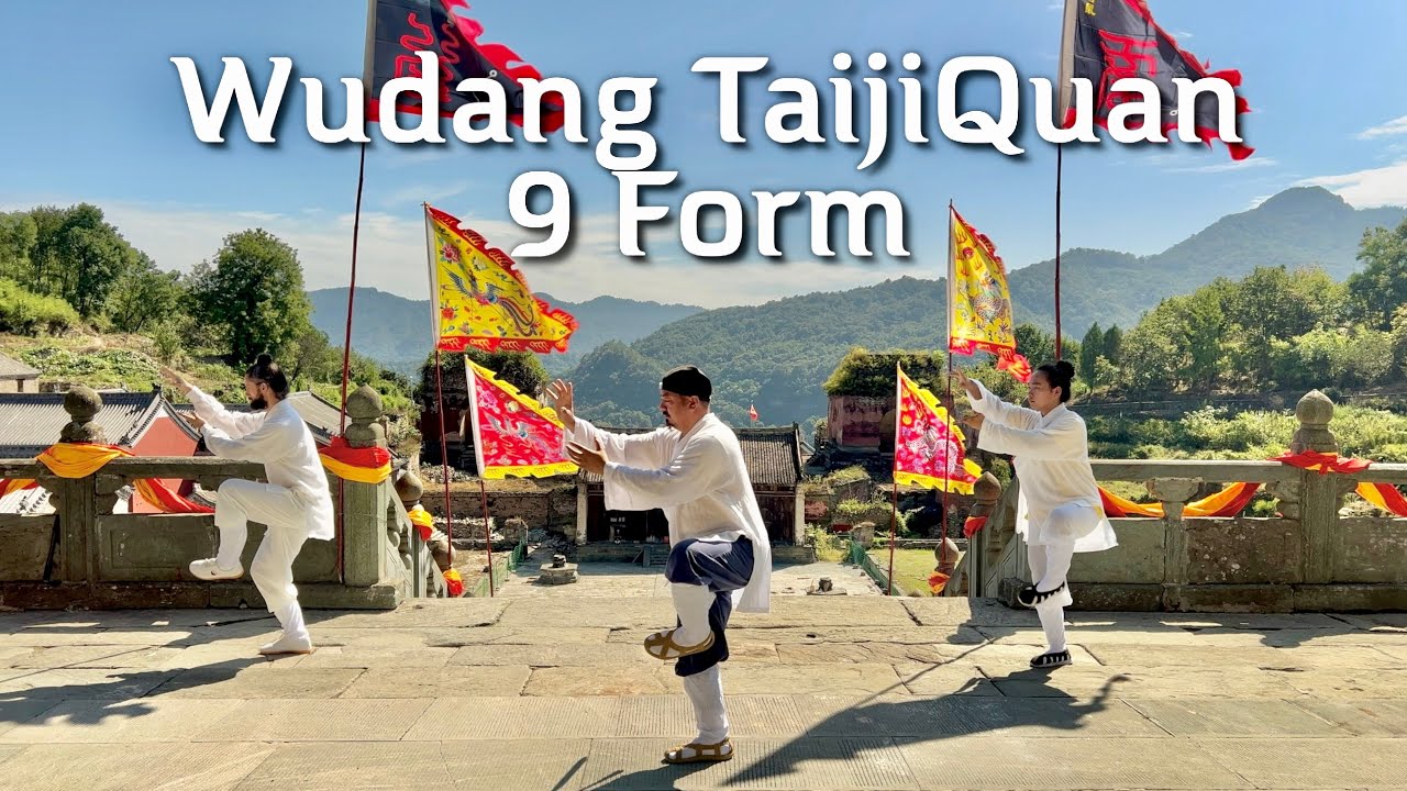 WUDANG TAIJIQUAN | 9 FORM Xuanwupai style with MASTER Chen Lisheng / 武当玄武派太极拳九式