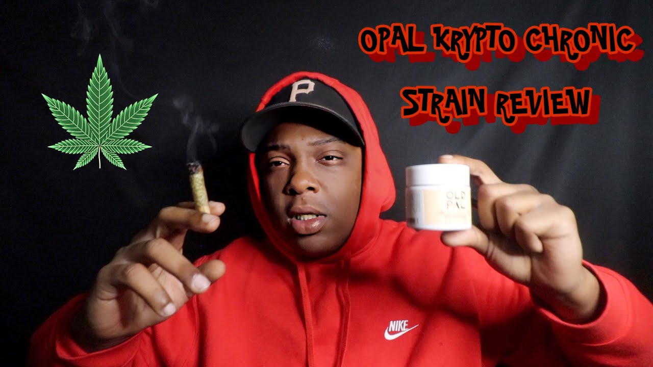 Grizzly Smokes 💨: OPAL KRYPTO CHRONIC STRAIN REVIEW 💨