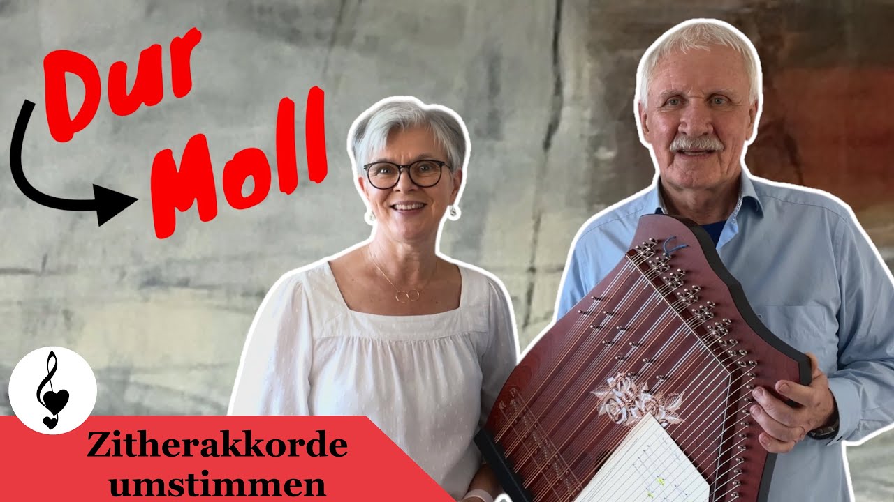 Zitherakkorde umstimmen | ohne Vorkenntnisse | #tutorial #zither #abba